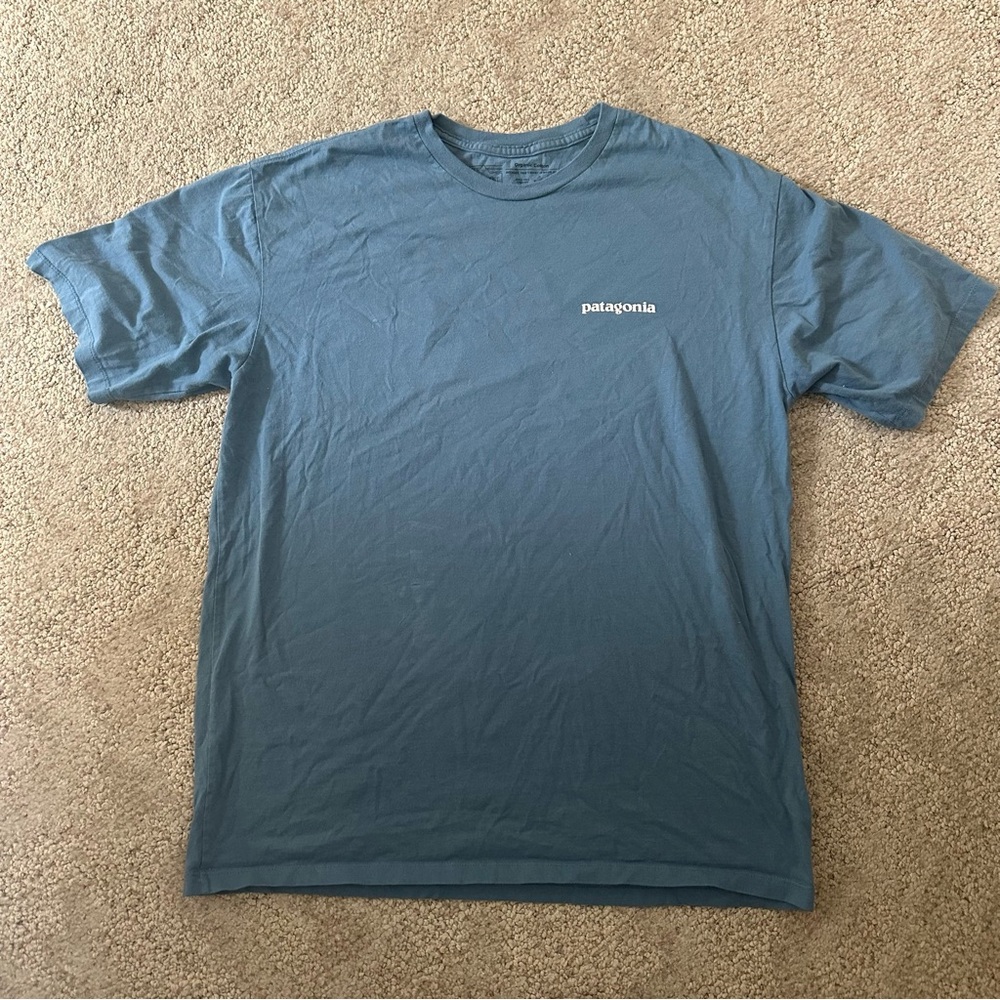 Patagonia T-shirt